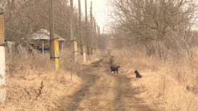 Încă un sat din Moldova a rămas doar pe hartă. Doar patru case sunt locuite